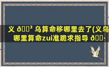 义 🐳 乌算命移哪里去了(义乌哪里算命zui
准跪求指导 🌷 )